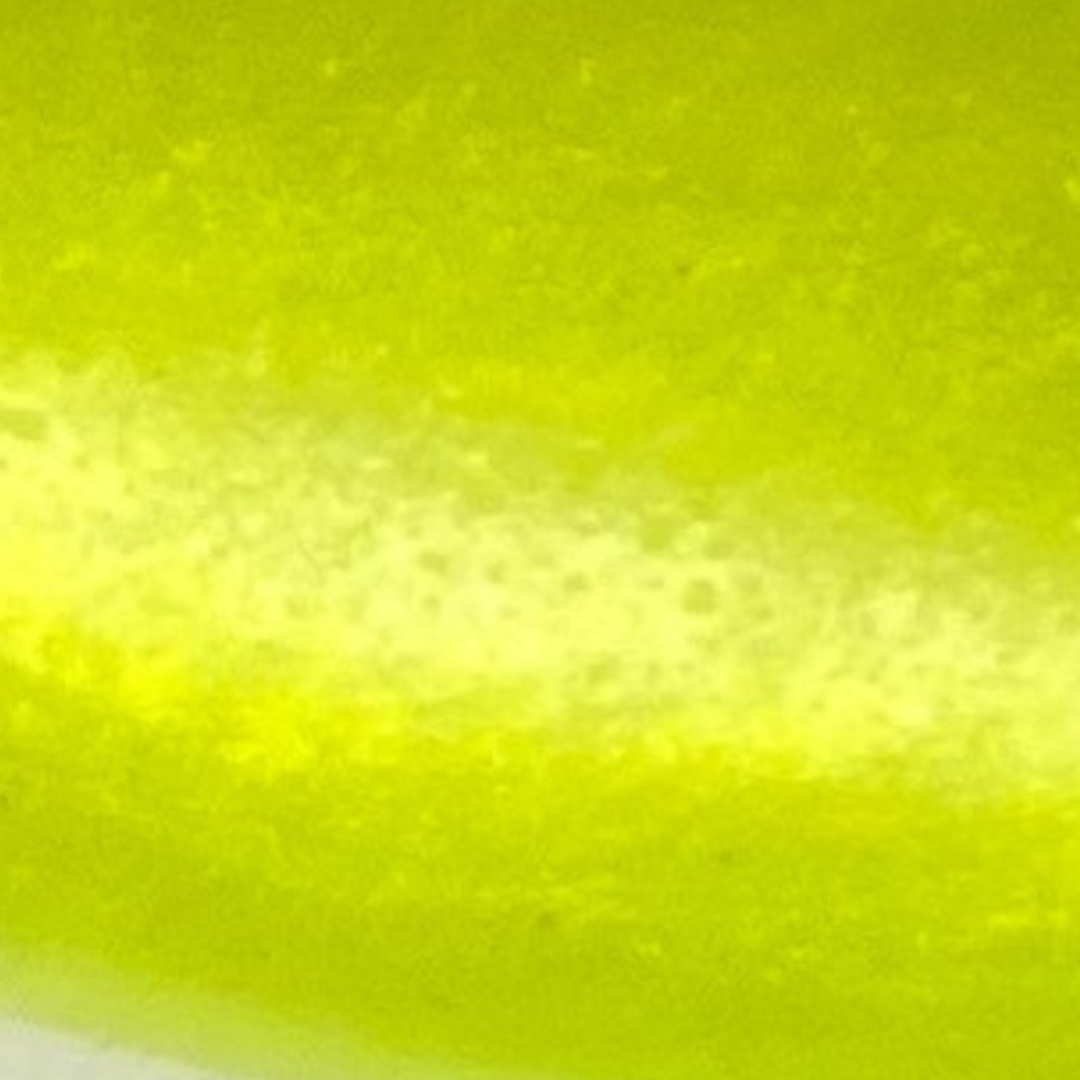 6" Skirted Whip-it fish : Rigged