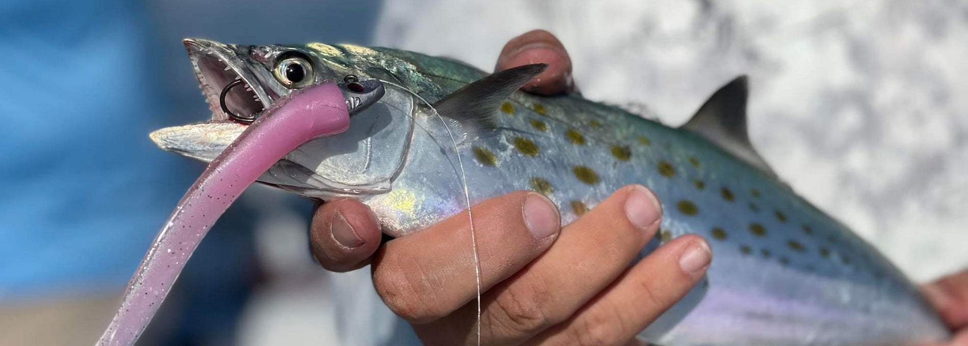 Al Gag's Custom Fishing Lures – Al Gags Fishing Lures