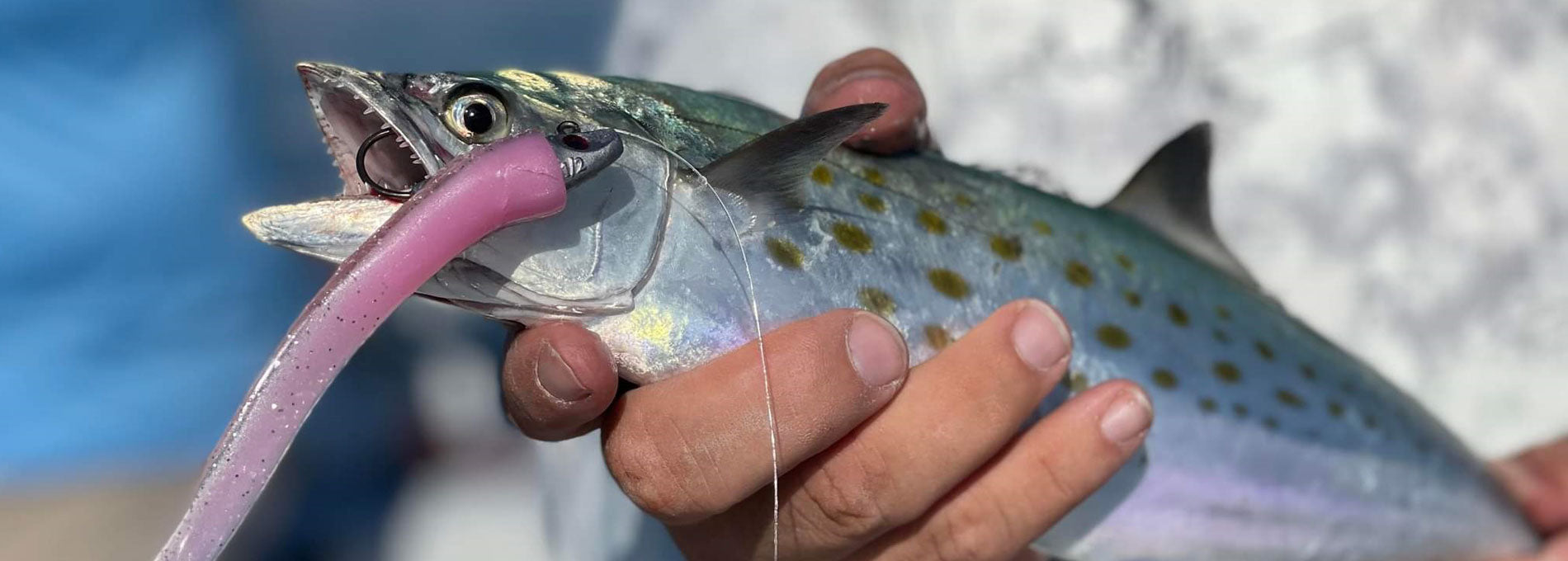 Al Gag's Custom Fishing Lures Al Gags Fishing Lures Al Gag's Custom Fishing Lures Al Gags Fishing Lures